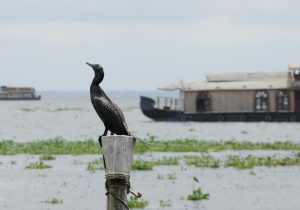 pexels-yoann-lechaux-181009882-14209159 pexels-yoann-lechaux-181009882-14209159